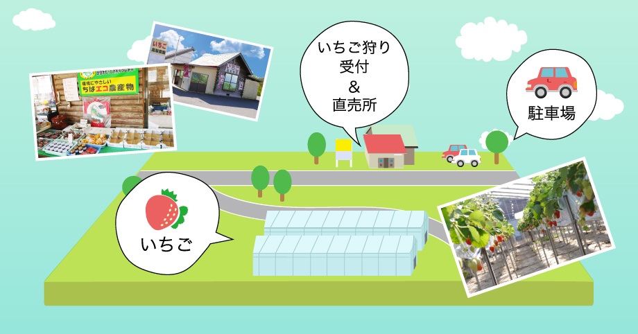 髙梨農園のマップ