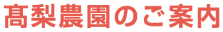 髙梨農園のご案内