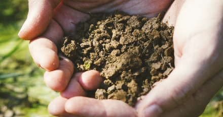千葉の風土 大多喜の風土