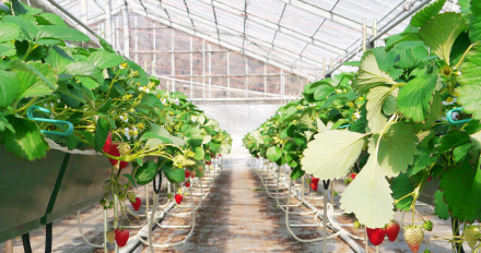 季節とともに歩む