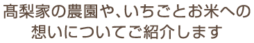 髙梨家の農園や、いちごとお米への想いについてご紹介します