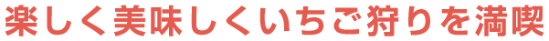 楽しく美味しくいちご狩りを満喫