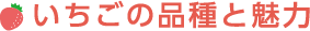 いちごの品種と魅力