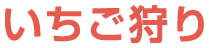 いちご狩り