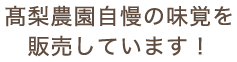 髙梨農園自慢の味覚を販売しています！