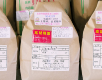 お米（コシヒカリ）